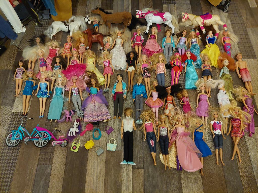Lot de 48 Poupées barbies, 5 chevaux, et accessoires, Enfants & Bébés, Jouets | Poupées, Utilisé, Barbie, Enlèvement