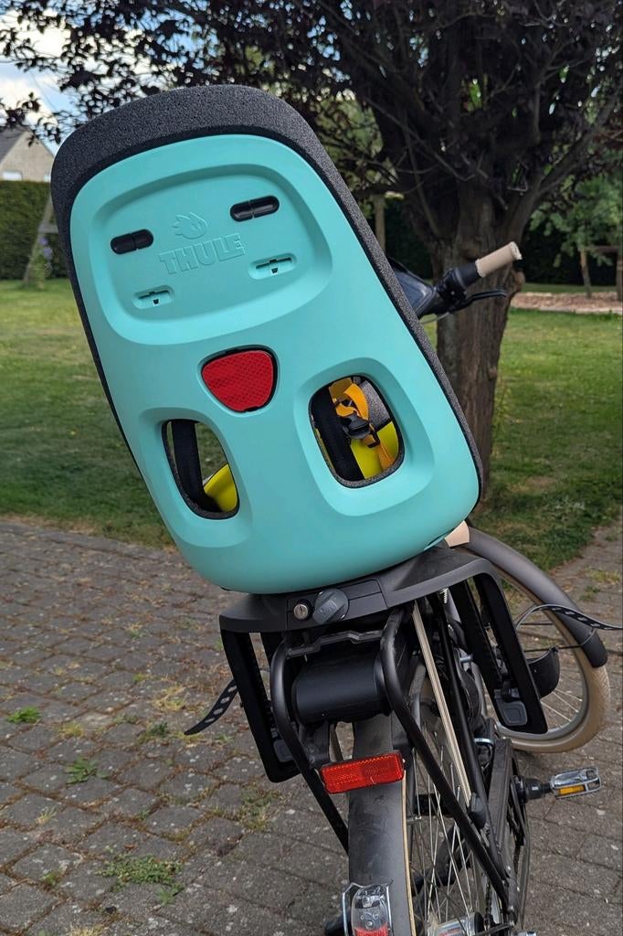 Thule Yepp Nexxt Maxi Mint, Fietsen en Brommers, Fietsaccessoires | Fietsstoeltjes, Ophalen