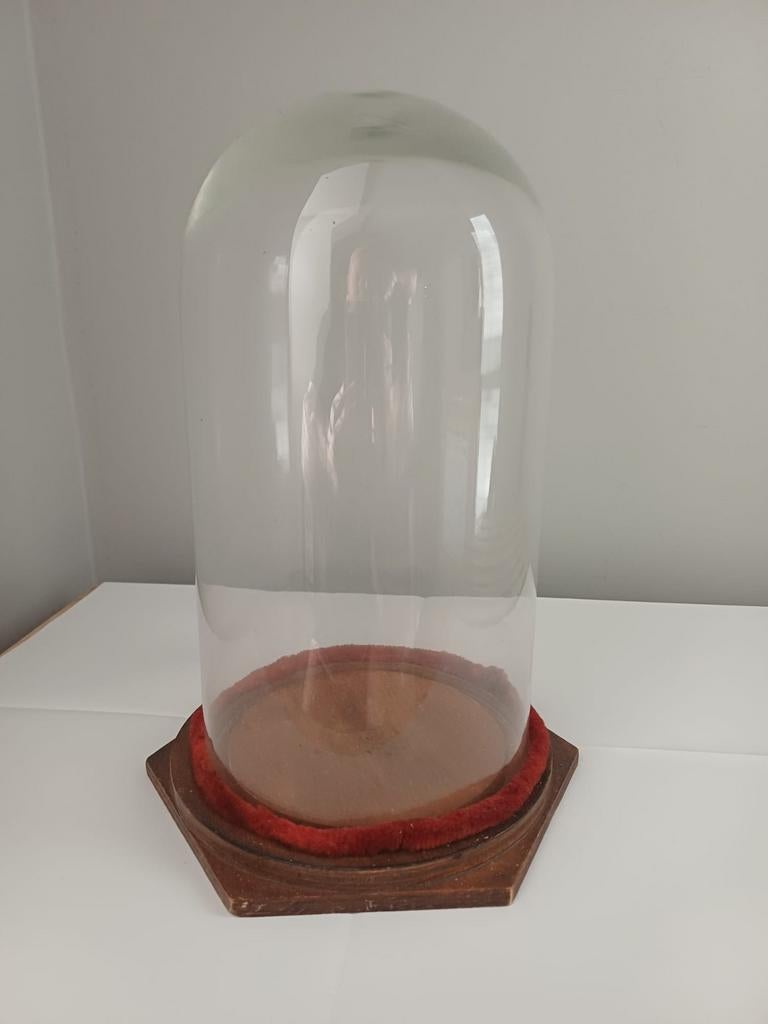 Antieke glazen stolp, Huis en Inrichting, Woonaccessoires | Stolpen, Ophalen