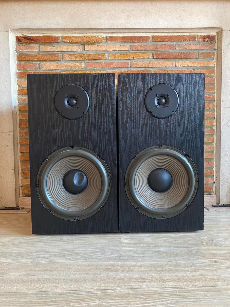Vintage hifi luidsprekers set – grote woofer – goede bass, Audio, Tv en Foto, Luidsprekerboxen, Ophalen