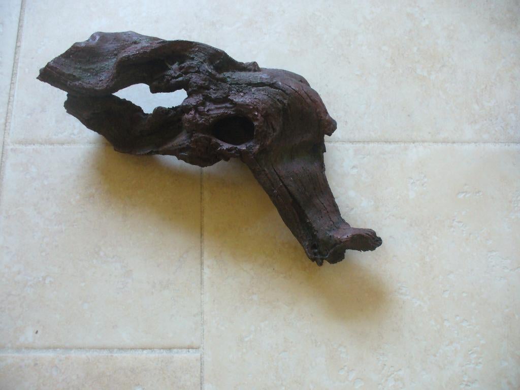 Aquarium decoratie  NIEUW, Ophalen, Decoratie