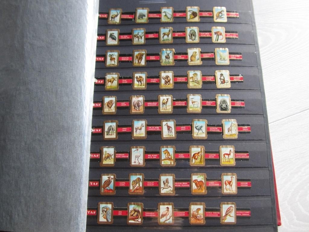 Collection de bagues de cigare, Collections, Enlèvement ou Envoi, Comme neuf, Bagues de cigare