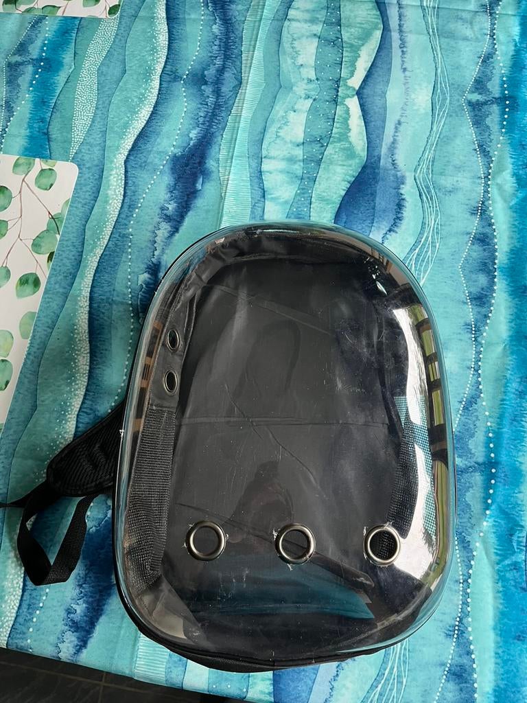 Transportrugzak kat, Dieren en Toebehoren, Ophalen, Kat