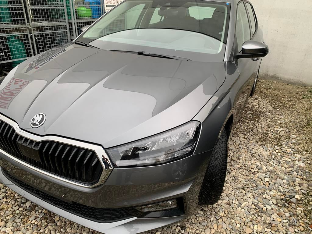 Skoda Fabia 1.0 Tsi Ambition Dsg auto Smartlinck +, Achat, Euro 6, Entreprise, Garantie prolongée