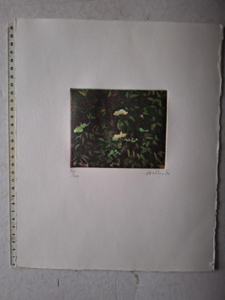 Kleurets Nino Cordio "Fiori" (bloemen) uit 1980, Antiek en Kunst, Kunst | Etsen en Gravures, Ophalen of Verzenden