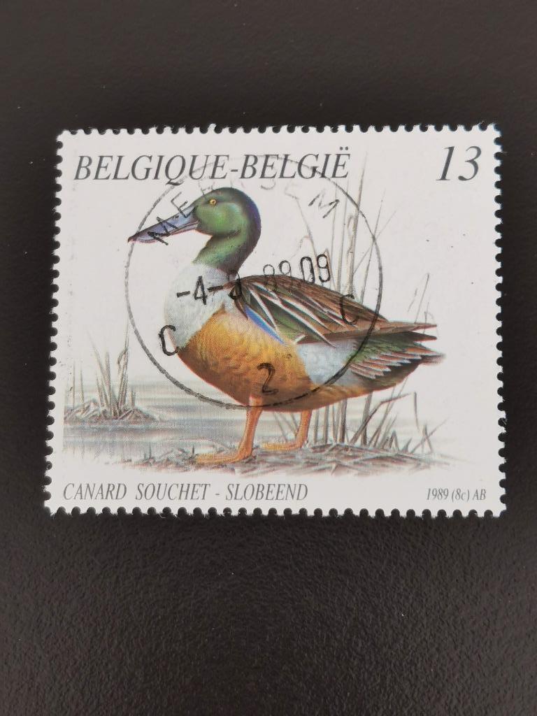 Belgie 1989 - vogels - eenden - slobeend (uit boekje), Ophalen of Verzenden, Gestempeld, Overig