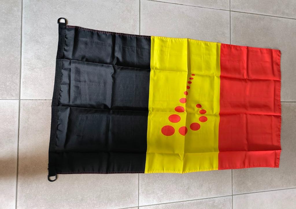 Drapeau de la Belgique - Logo de Brussels Airlines, Enlèvement