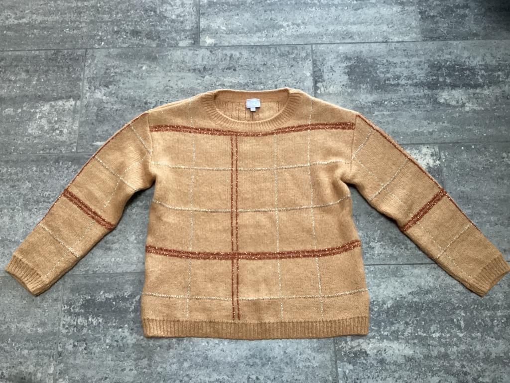 Trui Green Ice M/L, Kleding | Dames, Truien en Vesten, Maat 38/40 (M), Beige, Ophalen of Verzenden, Zo goed als nieuw