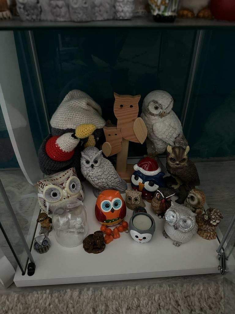 Verzameling uilen, Ophalen, Zo goed als nieuw, Dier