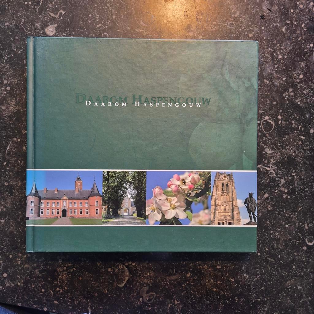 N. Ritchi - Daarom Haspengouw, Ophalen of Verzenden, N. Ritchi