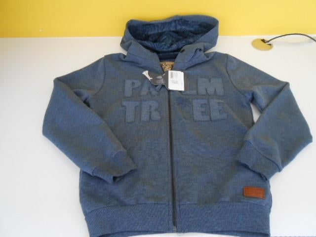 NIEUW "BRIAN&NEPHEW" jongen 10 jaar sweater met etiket, Kinderen en Baby's, Kinderkleding | Maat 140, Trui of Vest, Ophalen of Verzenden