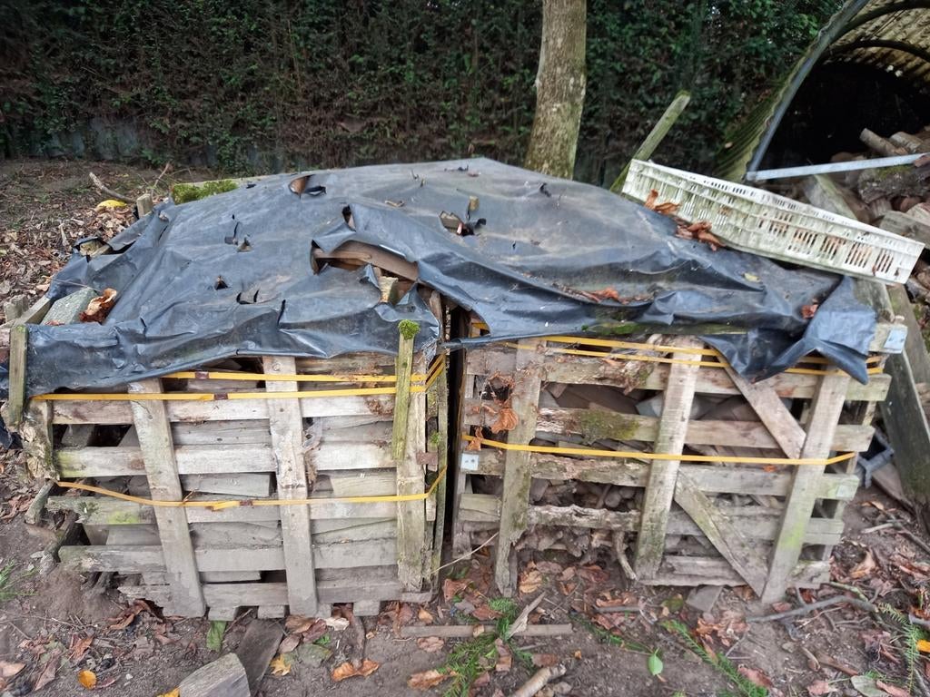 Brandhout, Enlèvement, Troncs d'arbres