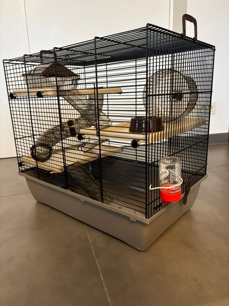 hamsterkooi, Dieren en Toebehoren, Knaagdieren en Konijnen | Hokken en Kooien, Kooi, Gebruikt, Minder dan 75 cm, Muis