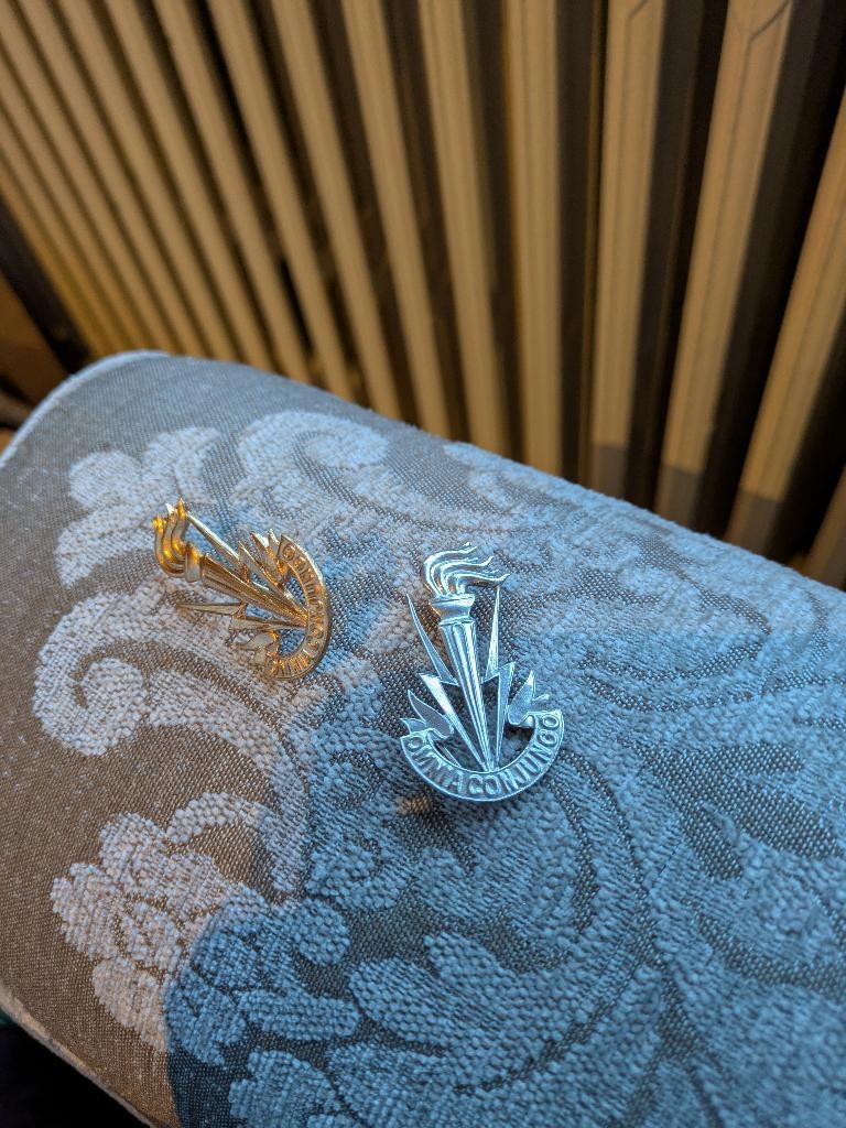 TTR mutskenteken, Collections, Enlèvement ou Envoi, Armée de terre, Emblème ou Badge