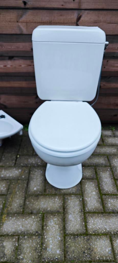 Gereserveerd Wit toilet en hoek lavabotje, Ophalen, Toilet