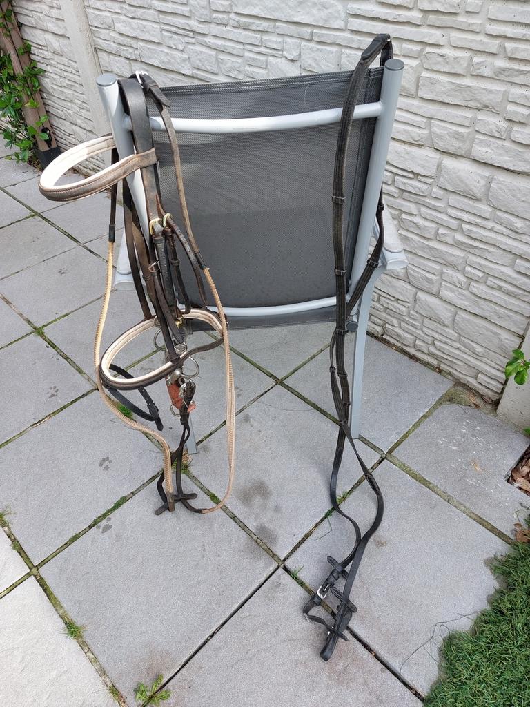 Kopstuk, Dieren en Toebehoren, Ophalen, Gebruikt