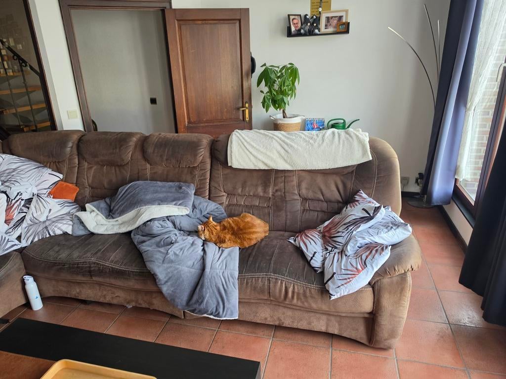 Grote zetel, Huis en Inrichting, Ophalen