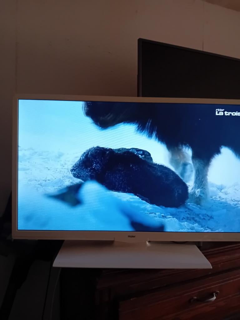Tv a vendre, Audio, Tv en Foto, Televisies, LED, 50 Hz, HD Ready (720p), Zo goed als nieuw