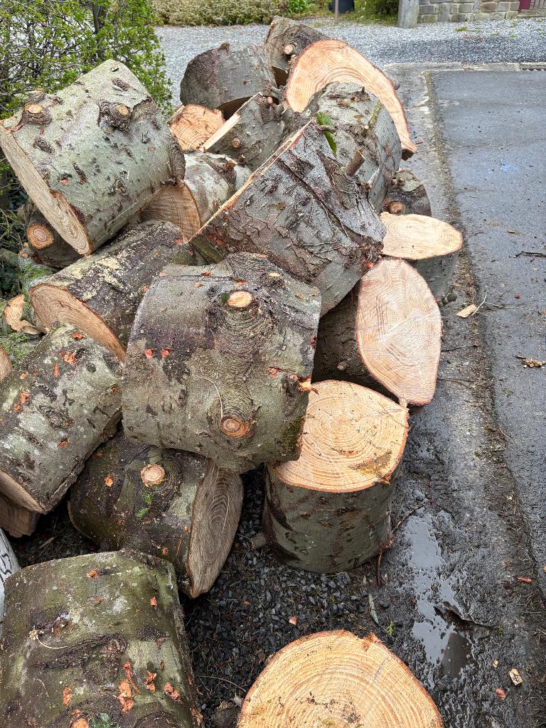 Bois de sapin à donner, 6 m³ ou plus, Enlèvement, Autres essences de bois, Bûches