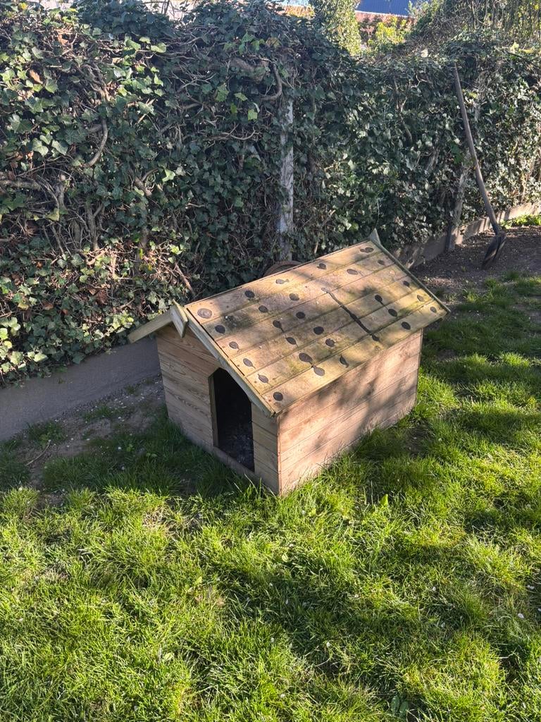 Gratis honden/ kippenhok, Enlèvement, Utilisé, Poulailler