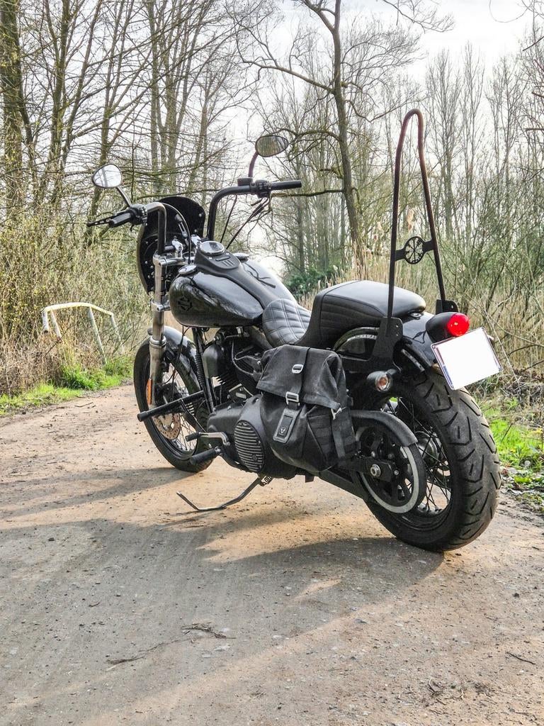 Harley-Davidson Dyna Street Bob, Motoren, Particulier