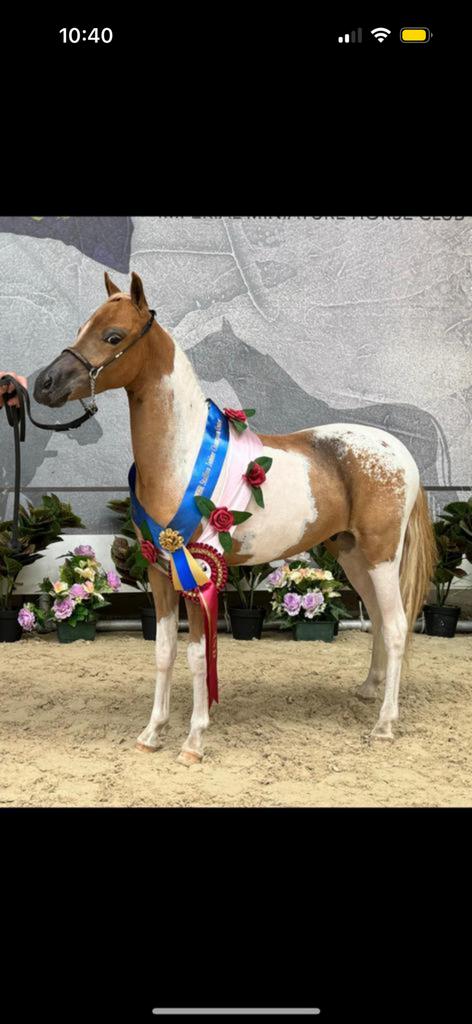 Ter dekking aangeboden !, Étalon