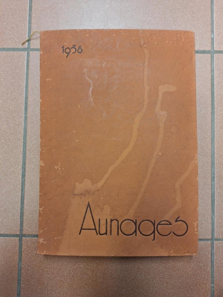 Catalogue tissus 1938 décoration intérieure (voir photos), Enlèvement ou Envoi, Utilisé, Ustensile