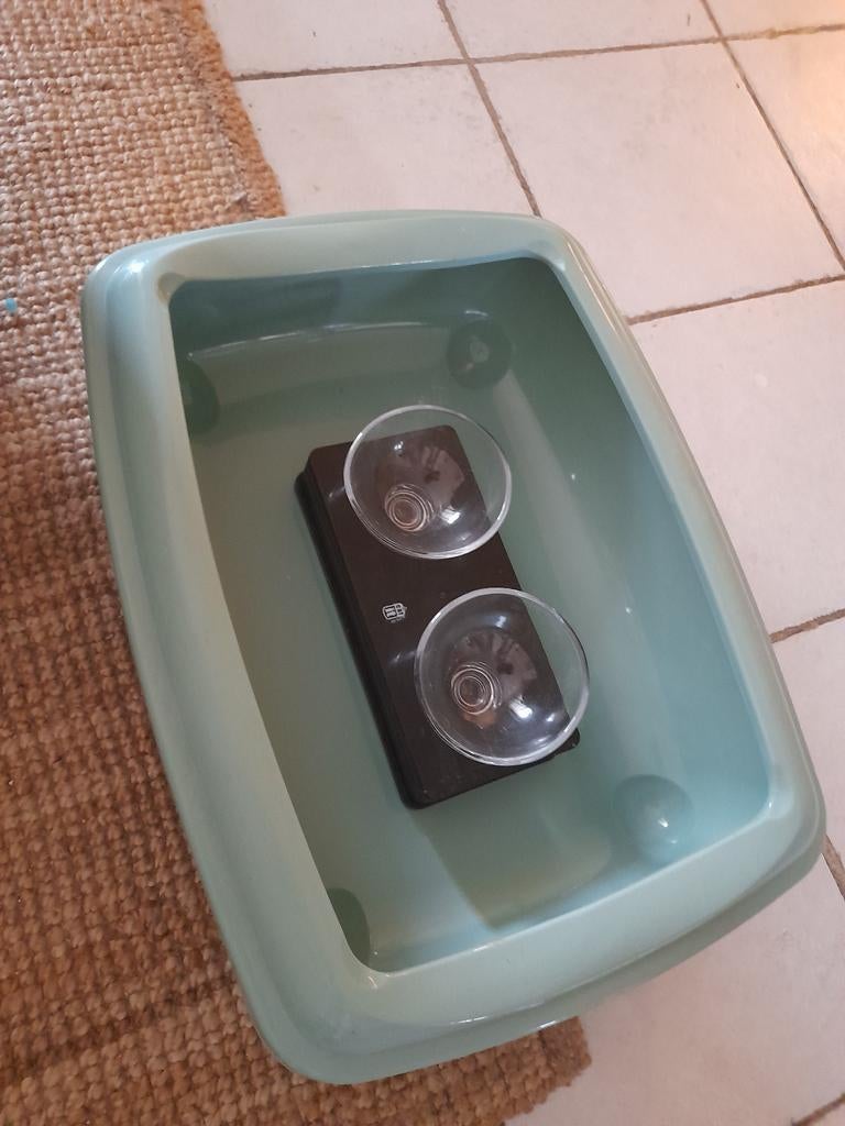 Accessoires pour chats