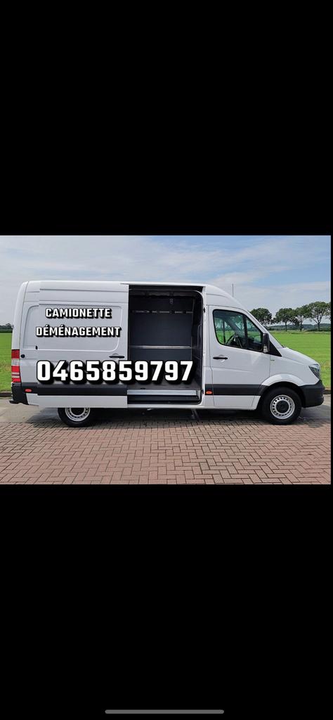 Camionette avec chauffeur, Offres d'emploi