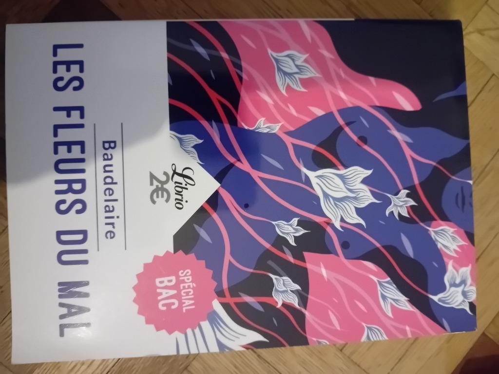 Livre les fleurs du mal baudelaire, Livres, Enlèvement ou Envoi, Neuf, Baudelaire