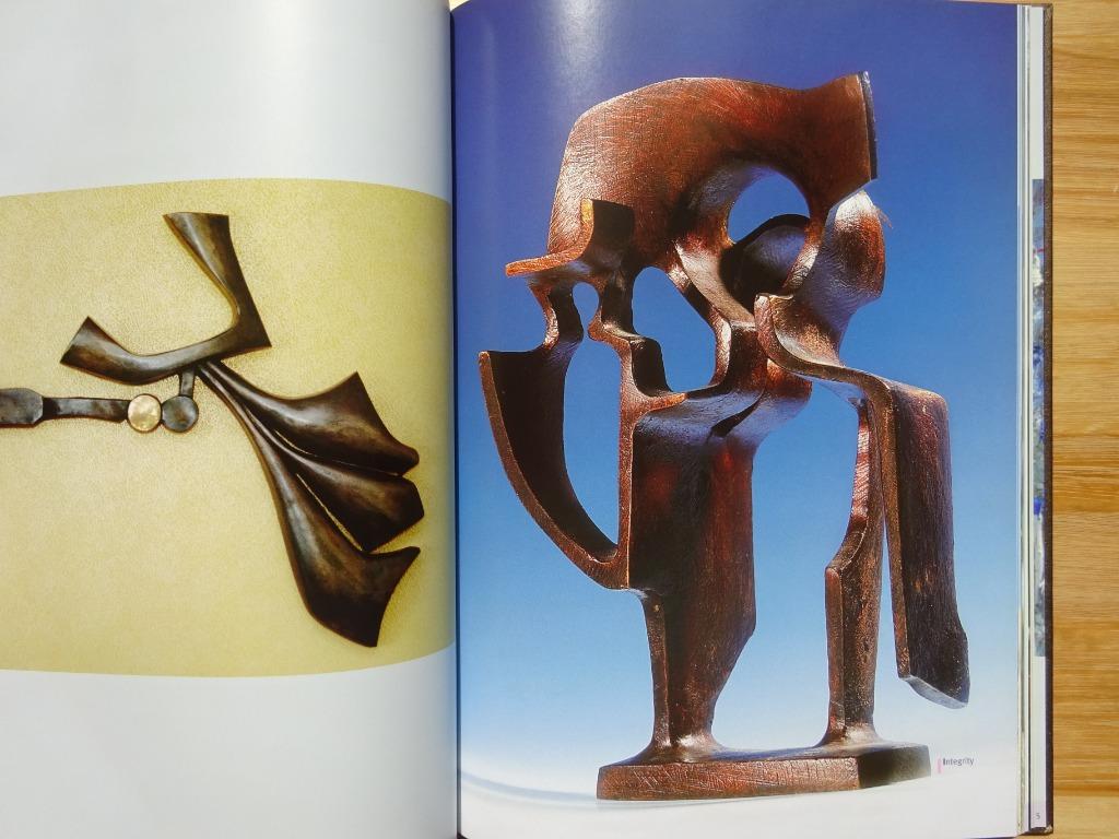 Fernand Vanderplancke, 2010, monografie, Ophalen of Verzenden, Zo goed als nieuw, Beeldhouwkunst