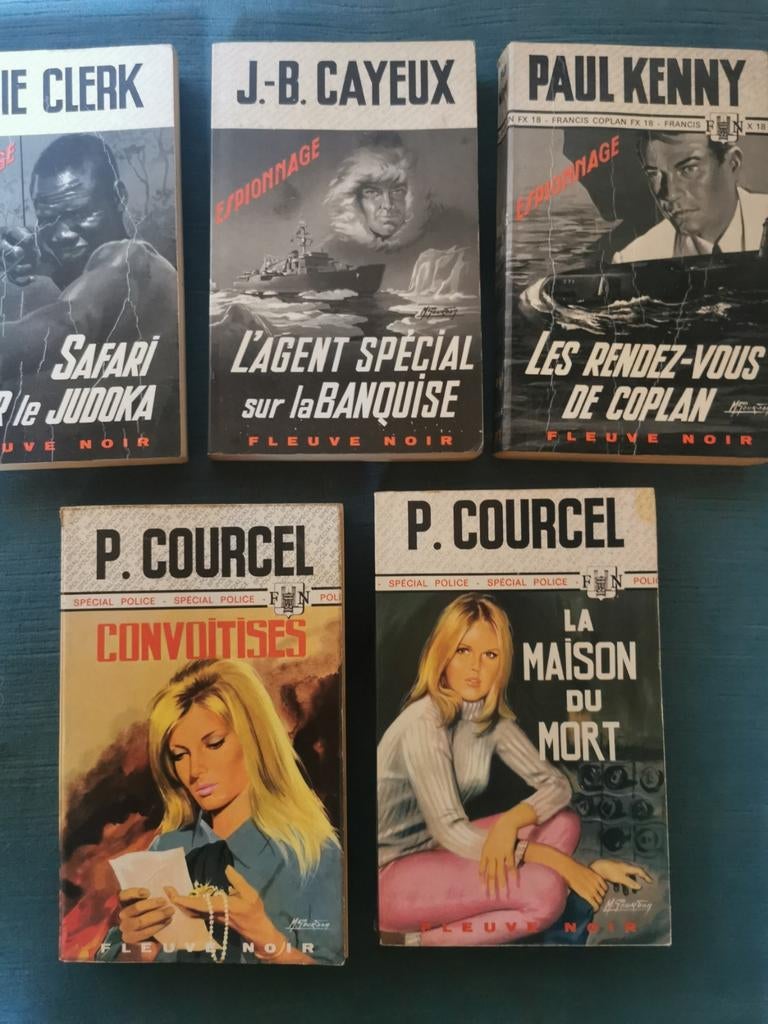 5 livres Fleuve Noir, Livres, Enlèvement ou Envoi, Utilisé