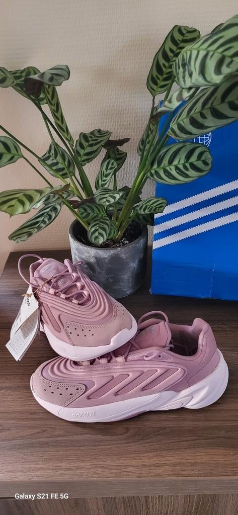 Baskets adidas Ozelia femme neuves, Enlèvement