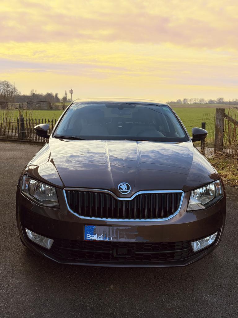 Skoda Octavia, Auto's, Skoda, Stof, Euro 6, Overige kleuren, CNG (Aardgas)