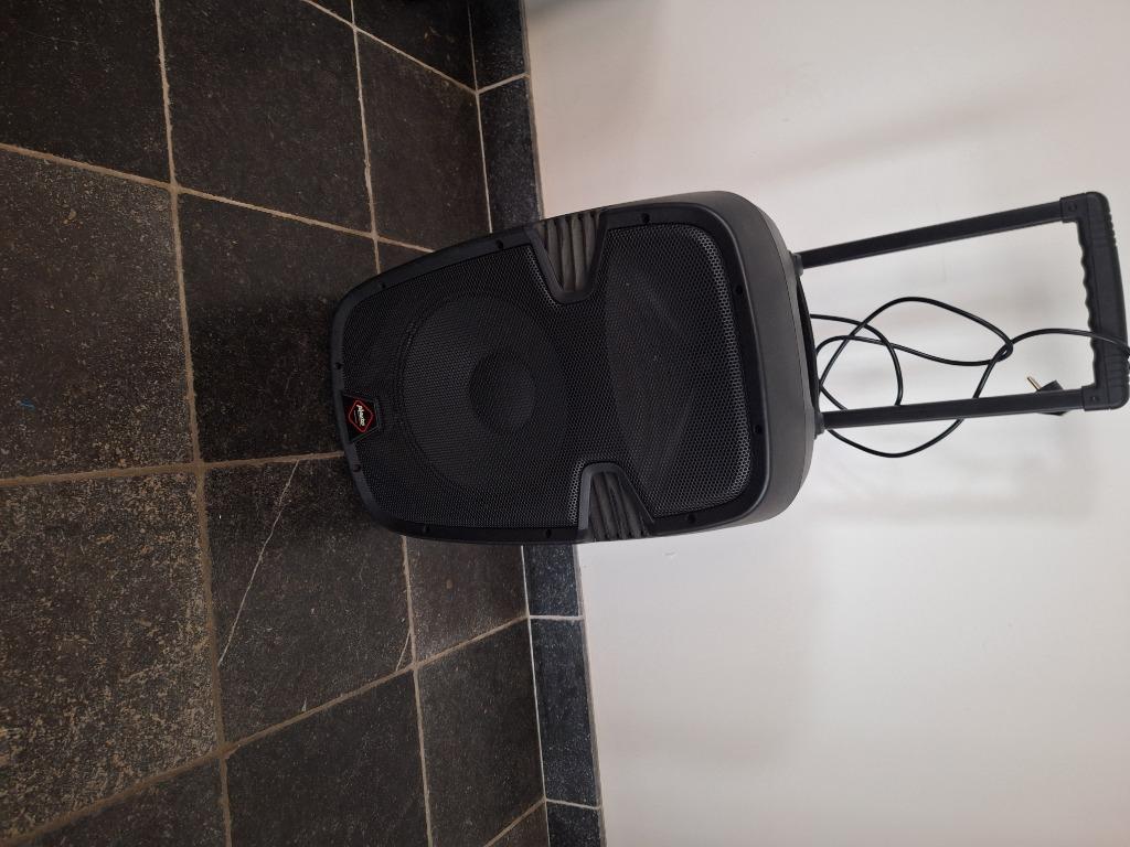 ENCEINTE, TV, Hi-fi & Vidéo, Enceintes, Autres marques, Comme neuf, Enlèvement, Autres types