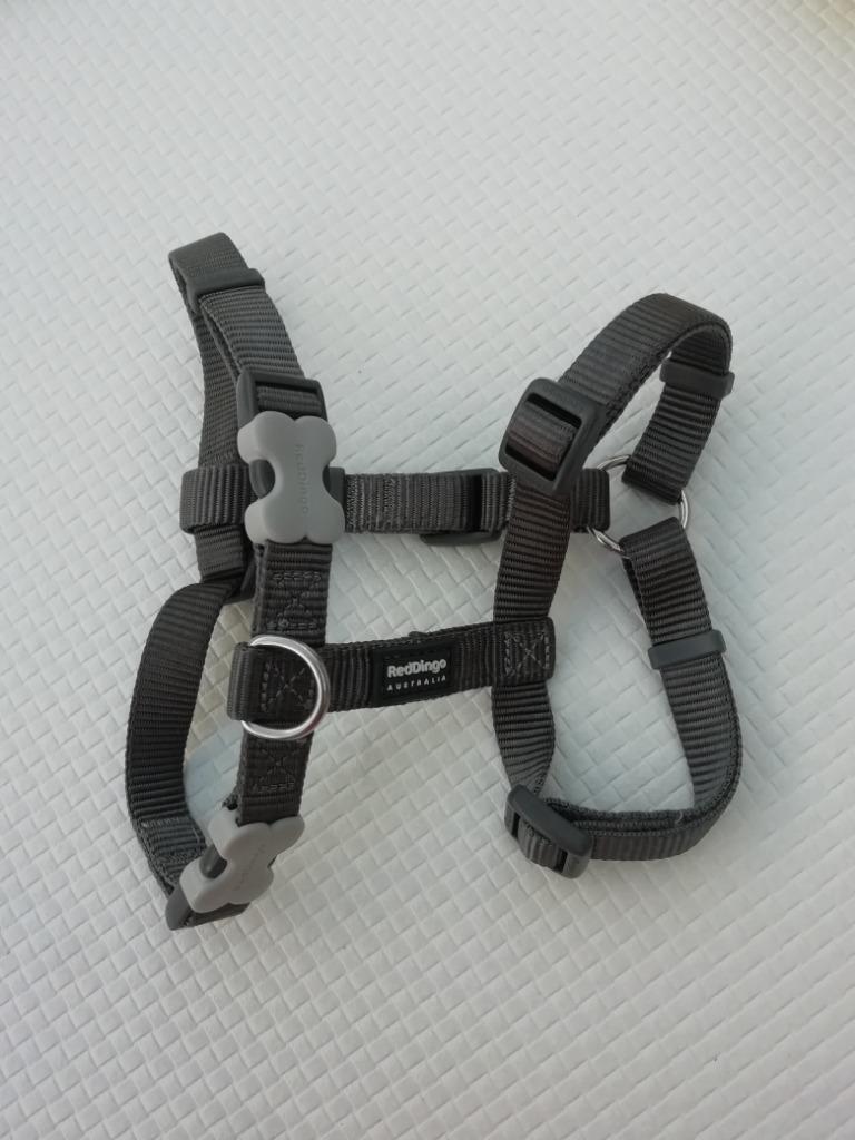 Harnais, Animaux & Accessoires, Enlèvement ou Envoi, Comme neuf