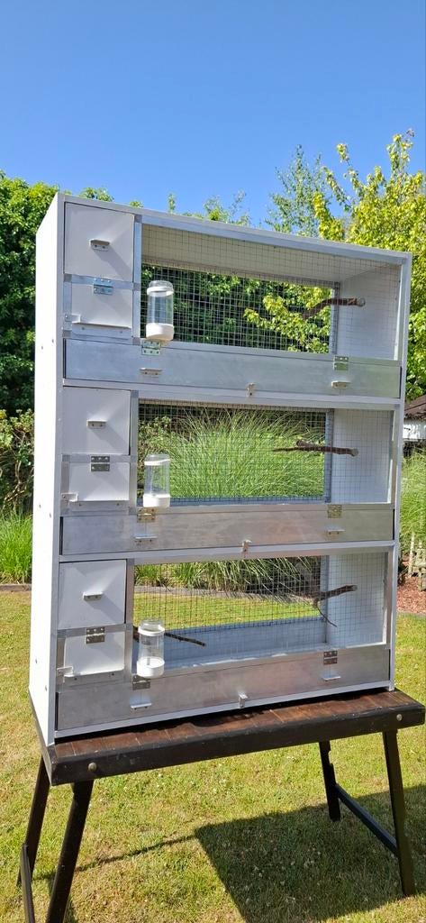 Cage, Enlèvement ou Envoi