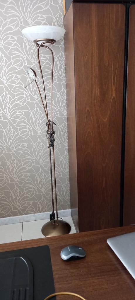 Staanlamp, Huis en Inrichting, Lampen | Vloerlampen, Ophalen