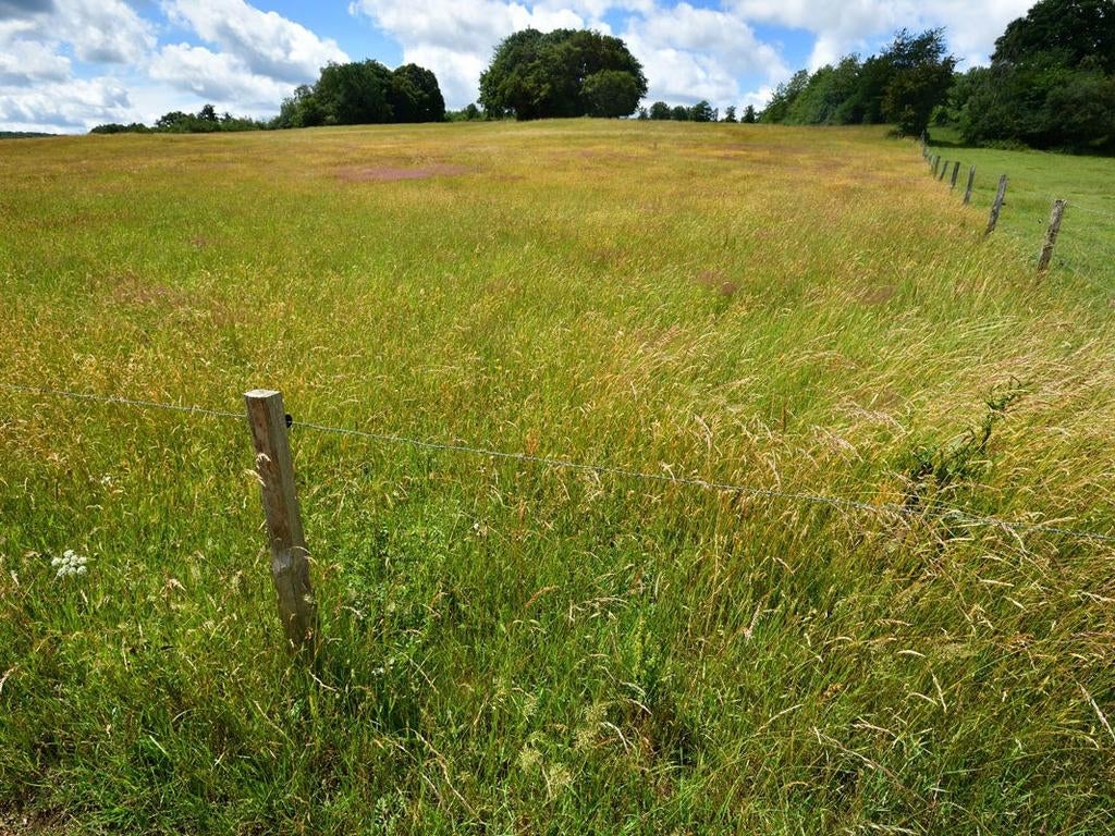 Recherche pâture location l'année