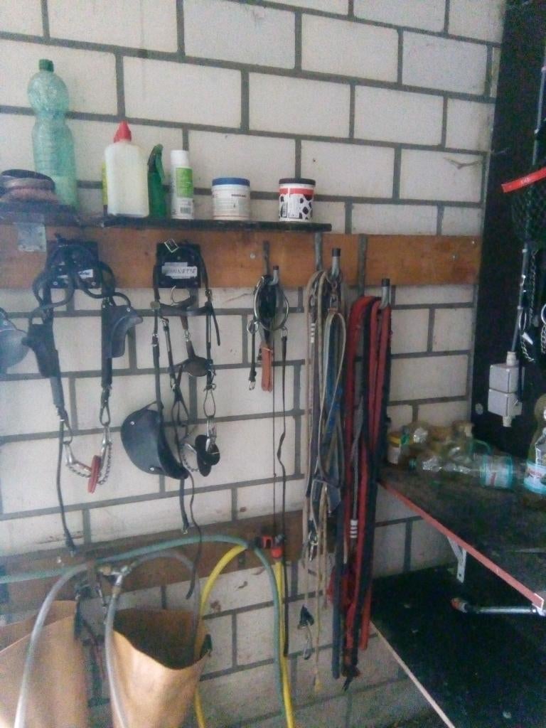 HOOFDSTELLEN, Dieren en Toebehoren, Ophalen, Gebruikt, Recreatie