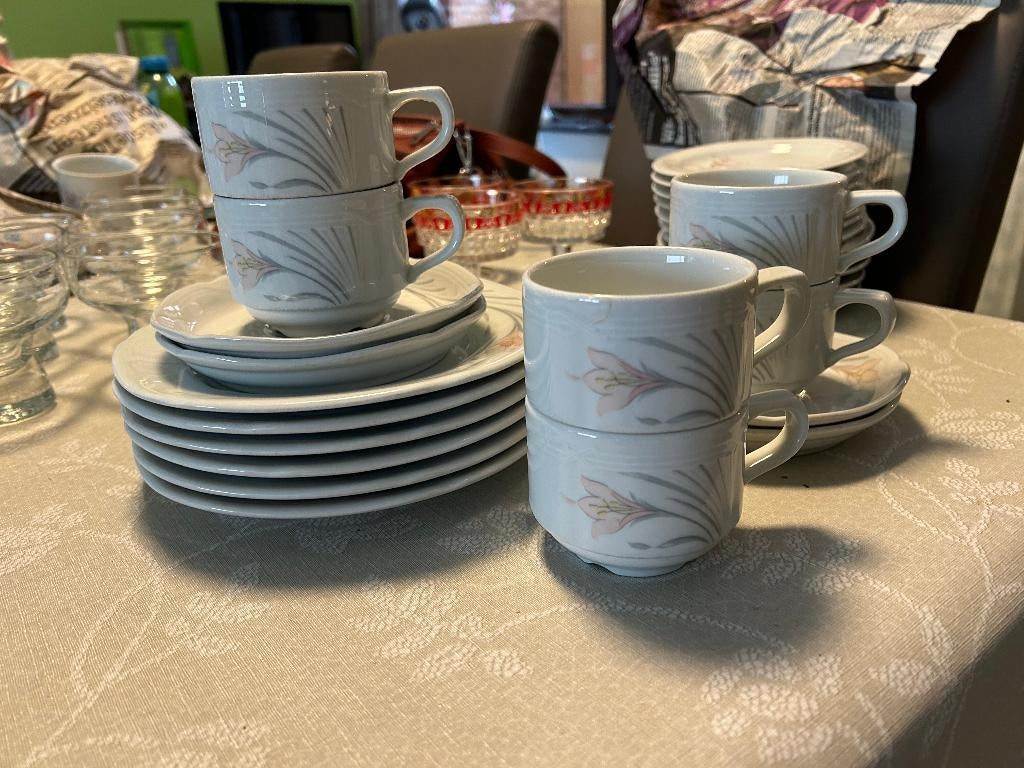 Tassen en ondertassen en dessertborden, Huis en Inrichting, Ophalen, Gebruikt, Porselein, Kop(pen) en/of Schotel(s)