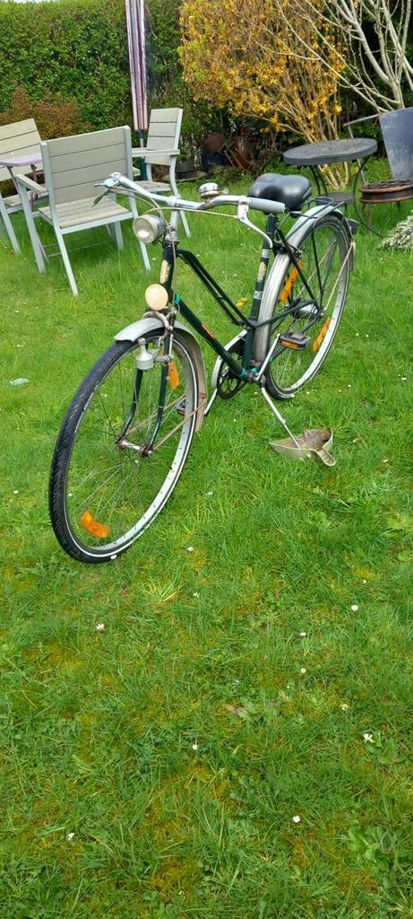 Velo pour femmes, Enlèvement, Vitesses