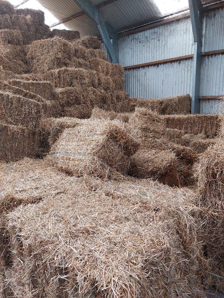 foin 2025 en petites balles, Enlèvement