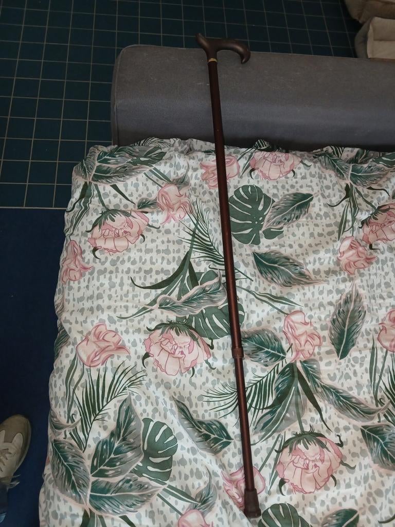 Wandelstok, Divers, Bâtons de marche, Enlèvement