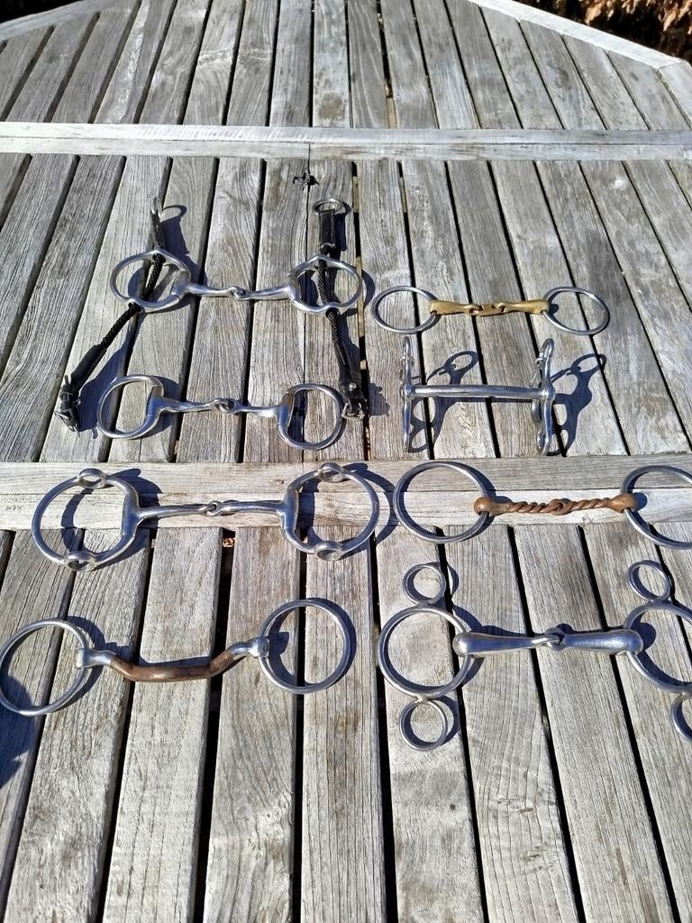 Diverse bitten, Dieren en Toebehoren, Ophalen of Verzenden