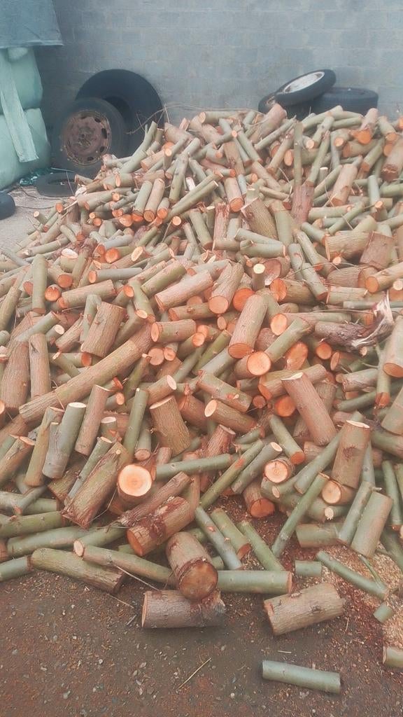 Brandhout wilg voor volgendjaar te branden, Tuin en Terras, Brandhout, Ophalen of Verzenden