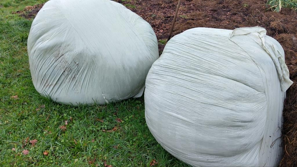 Voordroog 2025, Dieren en Toebehoren, Ophalen