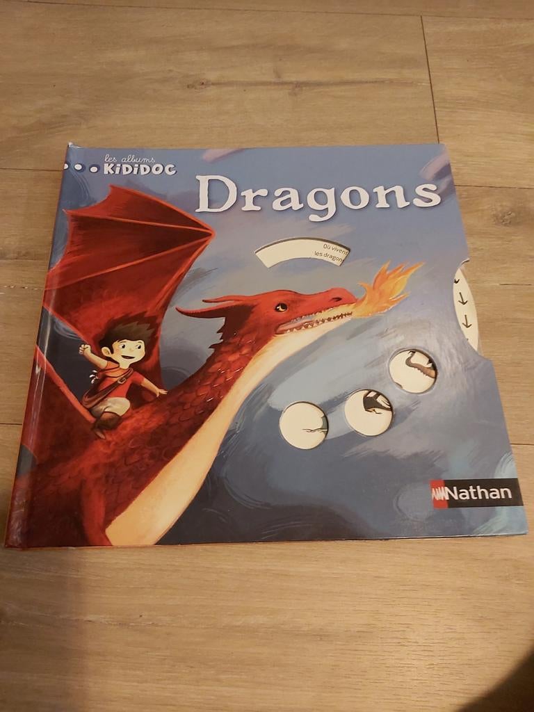 Boek over de draken, in het Frans, Boeken, Ophalen of Verzenden, Zo goed als nieuw, Frans