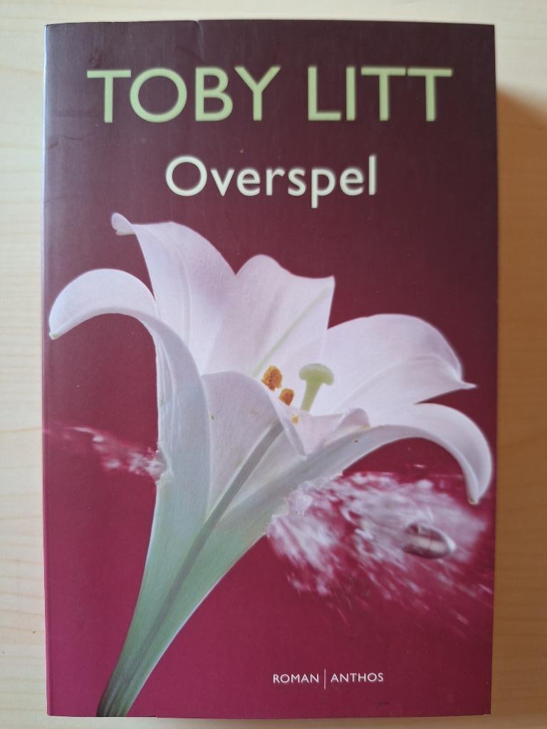 "Overspel" van Toby Litt, Livres, Romans, Comme neuf, Europe autre, Enlèvement ou Envoi