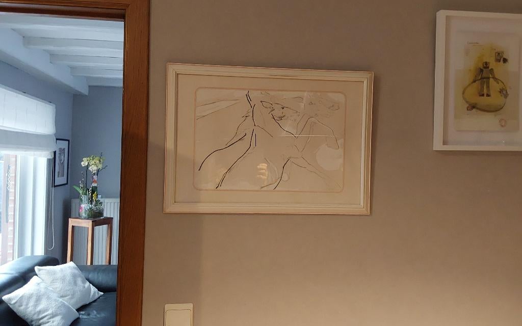 Litho, Antiek en Kunst, Kunst | Litho's en Zeefdrukken, Ophalen